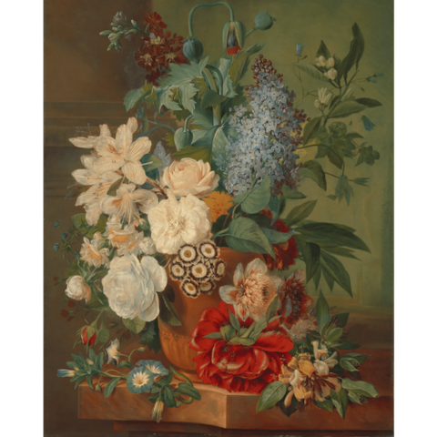 Flowers in a terracotta vase