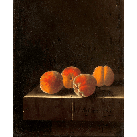 Four Apricots on a Stone Plinth
